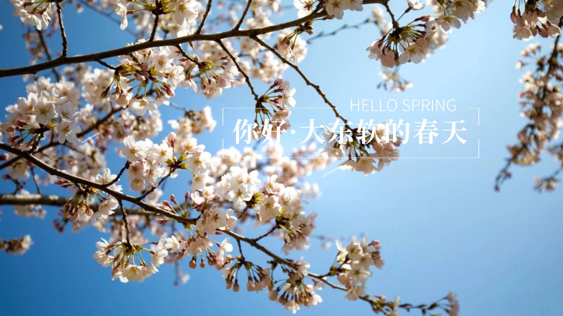 来点“花招”